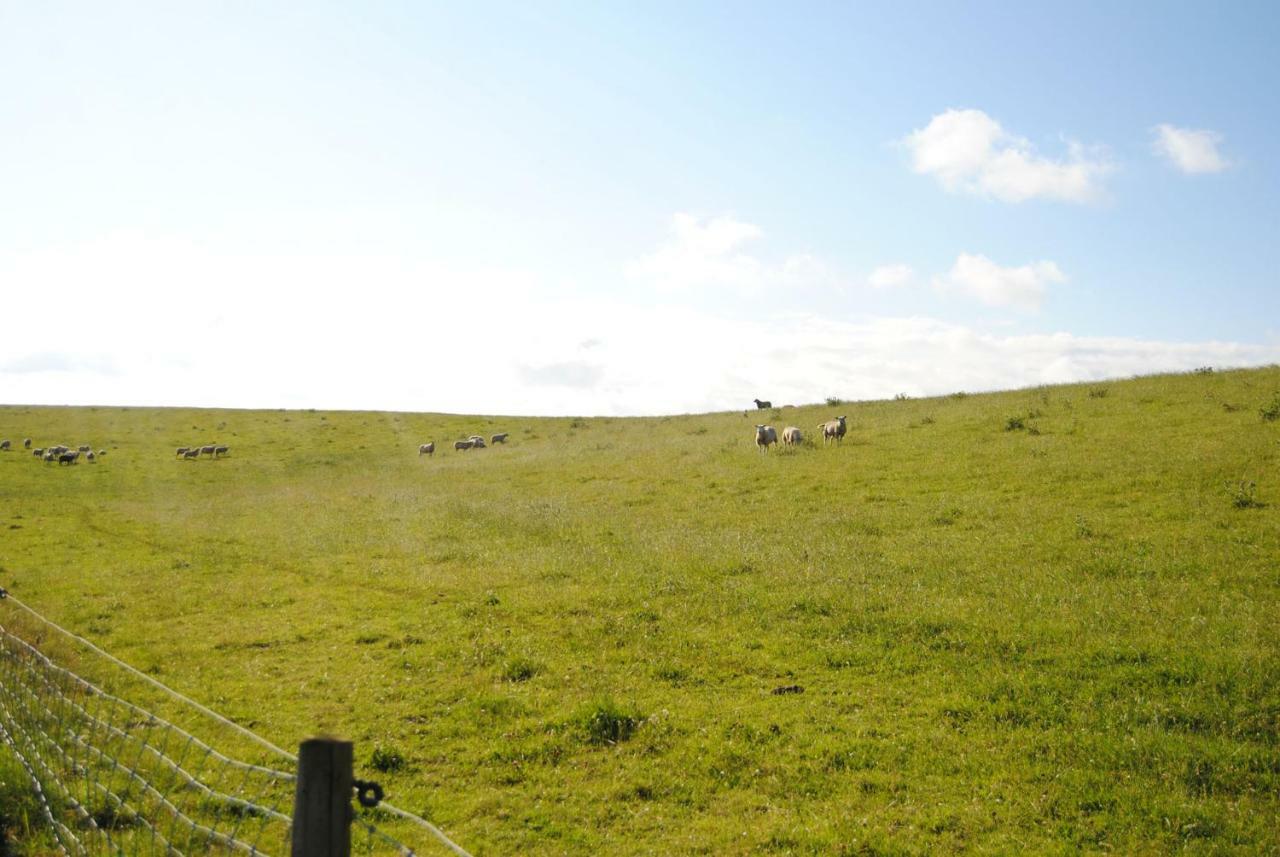 Annemaries Nordseehaus *